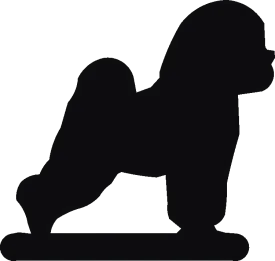 Bichon Hand Stand