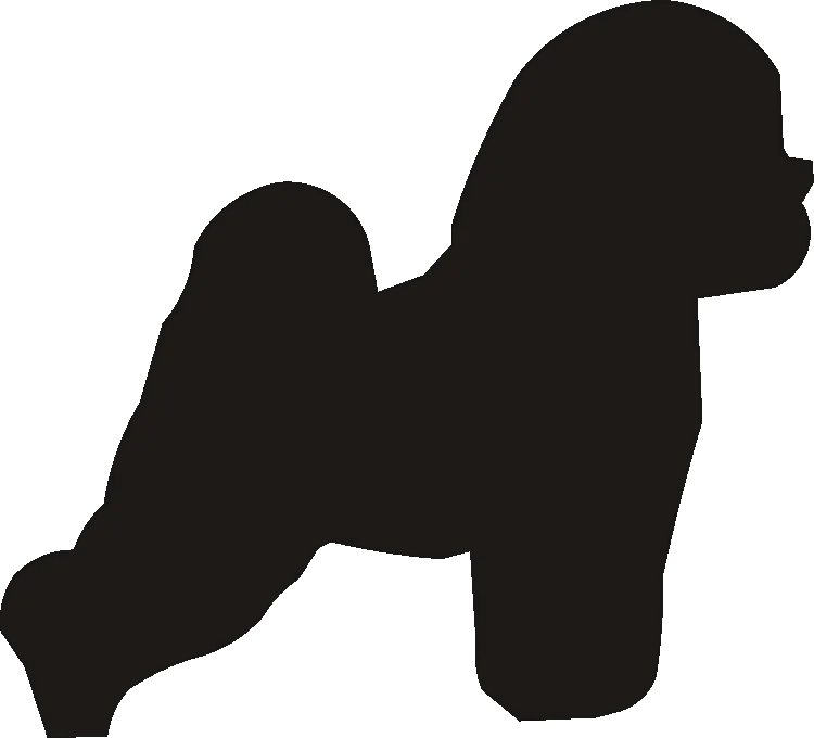 Bichon Whirlies