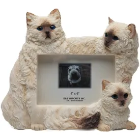 Himalayan Cats Large Picture Frame