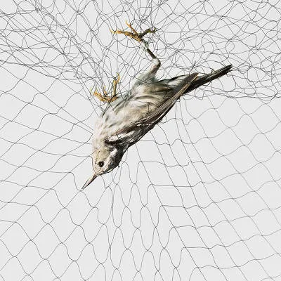 Mistnets Mesh 30 x 2.5 m H